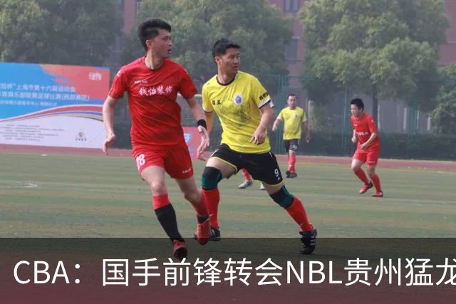 CBA：国手前锋转会NBL贵州猛龙，王少杰前往江苏男篮，吉林大将签约宁波，胡金秋预计留队